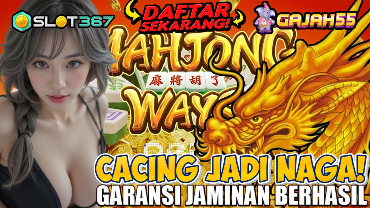 GAJAH55