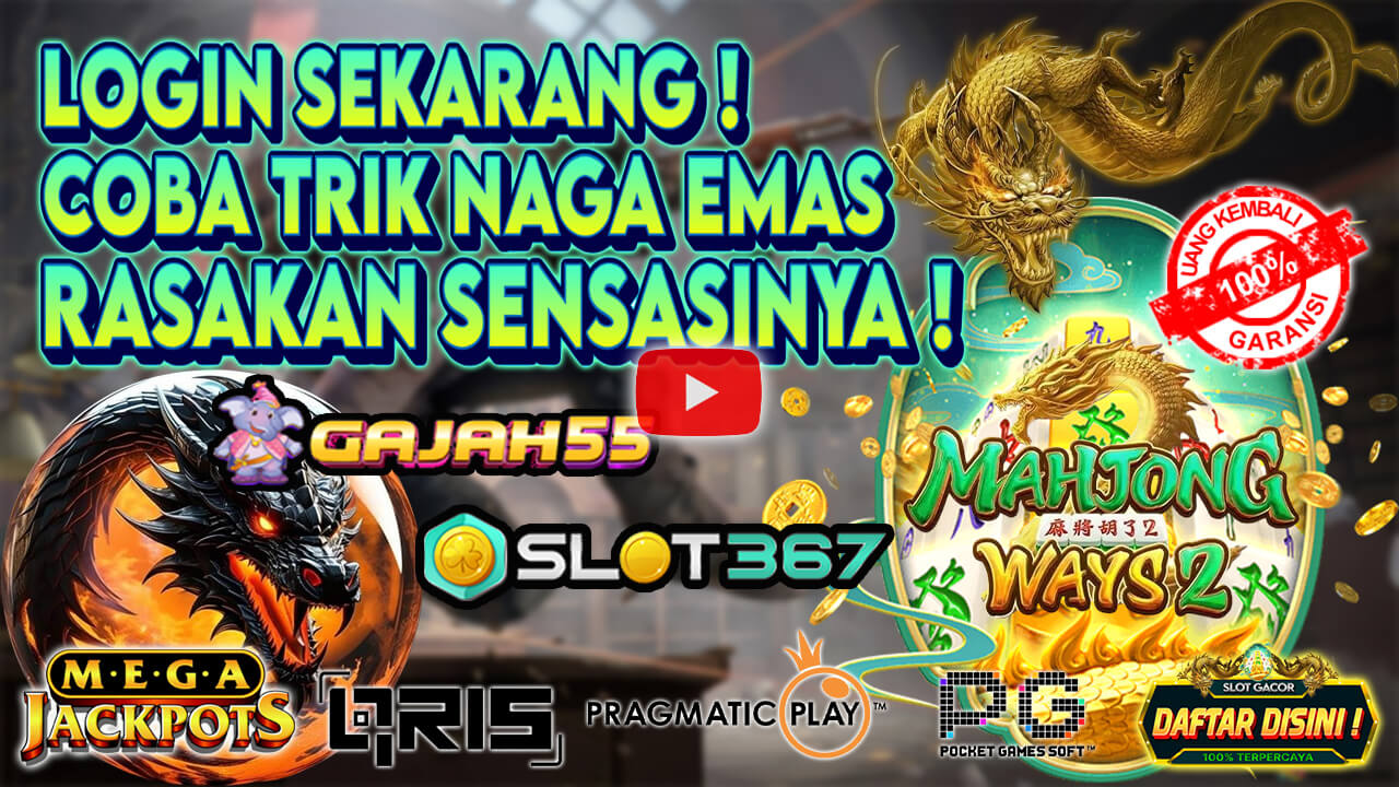 GAJAH55